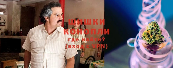 спайс Корсаков