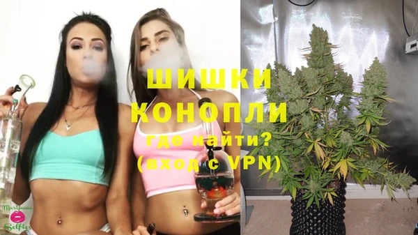 трава Костерёво