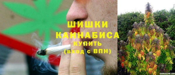 спайс Корсаков