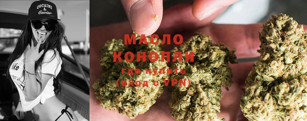 спайс Корсаков