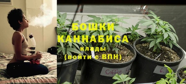 трава Костерёво
